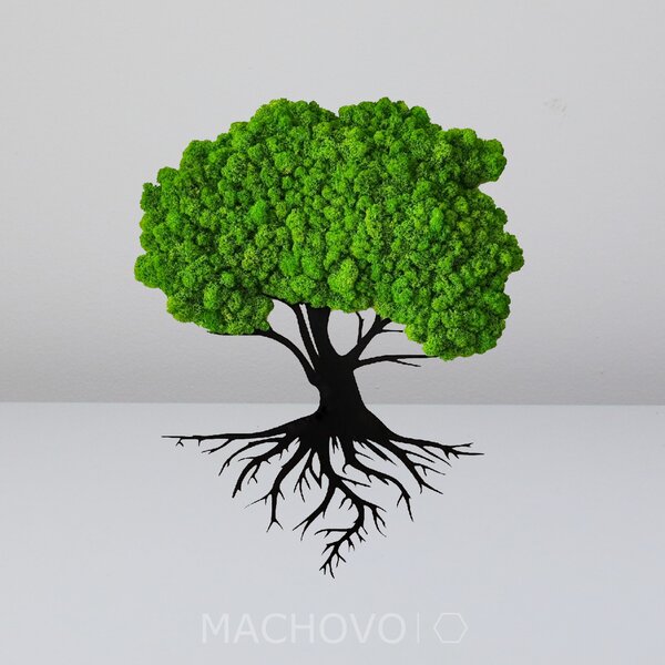 Machový obraz - strom s koreňmi