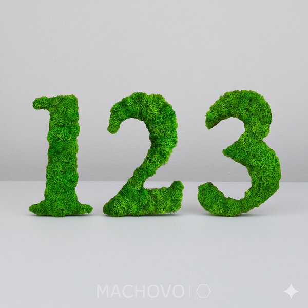 Machový obraz - čísla z machu