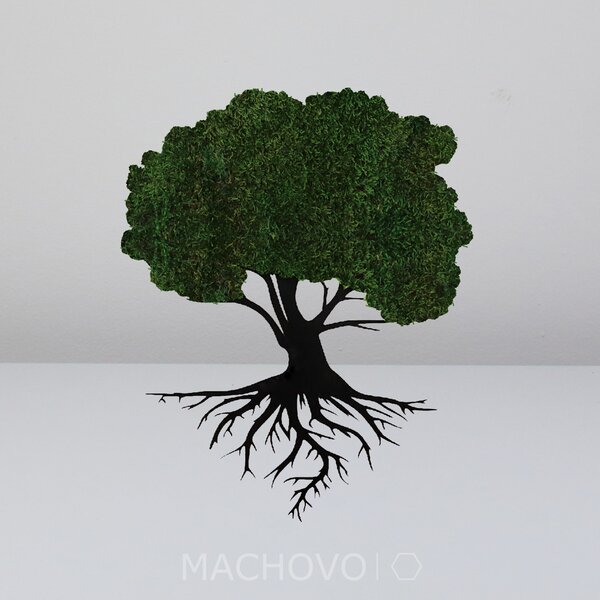Machový obraz - strom s koreňmi mach plochý