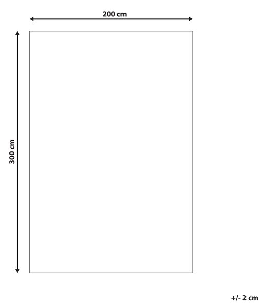 Koberec čierno-biely sivá melanž 200 x 300 cm moderný všívaný strojom obdĺžnikový huňatý s vysokým vlasom