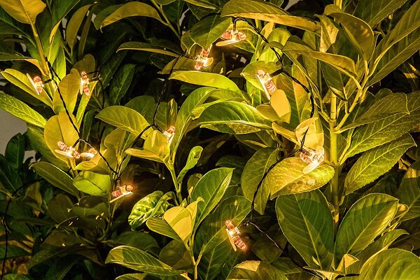 Rabalux BOBUS LED solárna lampa 77002