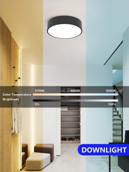 Immax NEO 07200L - LED Stmievateľné svietidlo RONDATE LED/18W/230V čierna Tuya + DO
