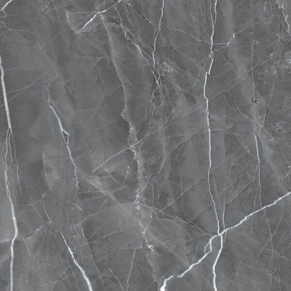 Armani Grey 60x60 R