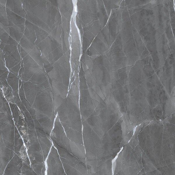 Armani Grey 60x60 R