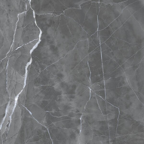 Armani Grey 60x60 R