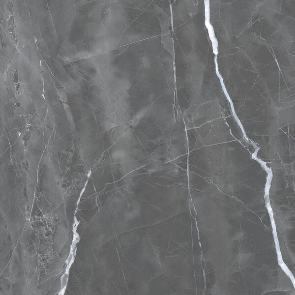 Armani Grey 60x60 R