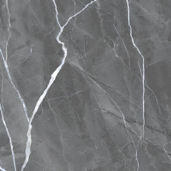 Armani Grey 60x60 R