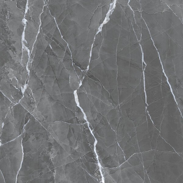 Armani Grey 60x60 R