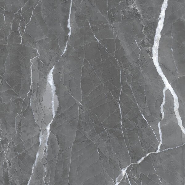 Armani Grey 60x60 R