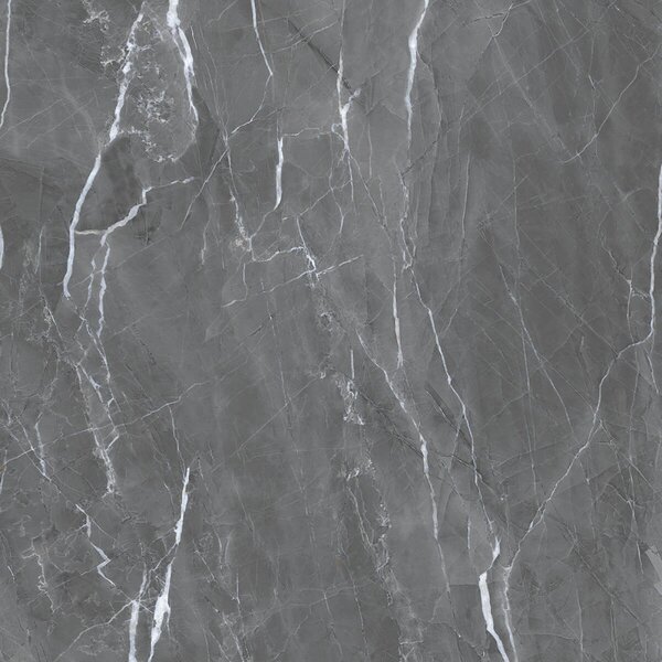 Armani Grey 60x60 R