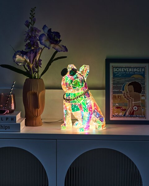 LED dekorácia viacfarebná PET pes francúzsky buldoček sezónna bytová dekorácia so svetielkami doplnky