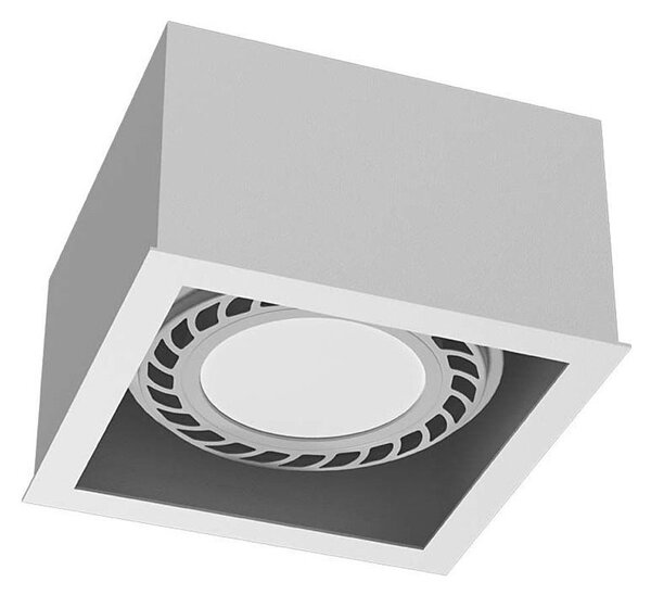 Brosline 1272 - Bodové svietidlo CAGE 1xGU10/18W/230V biele