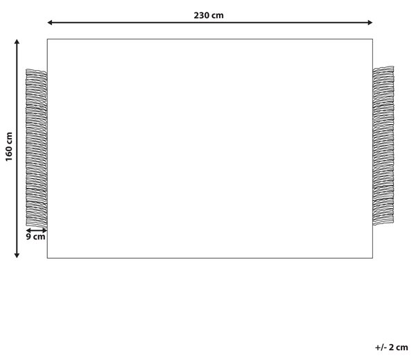 Koberec sivá a krémová biela 160 x 230 cm obdĺžnikový ručne tkaný so strapcami moderný dizajn