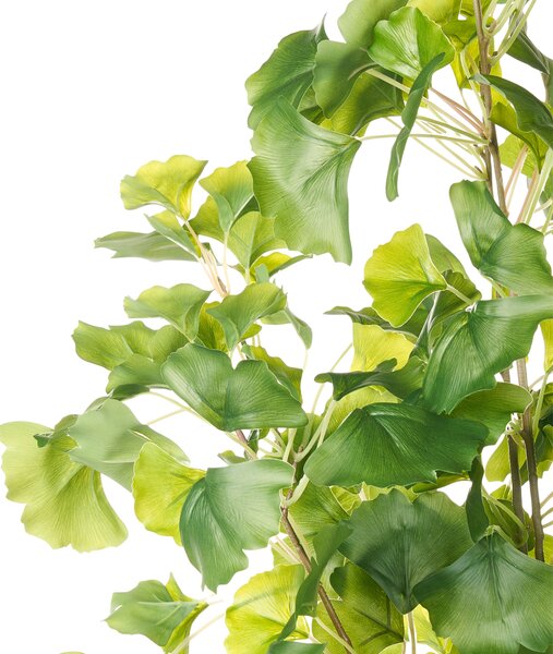 Umelá rastlina ginko zelená a čierna syntetický materiál 150 cm dekoratívne doplnky