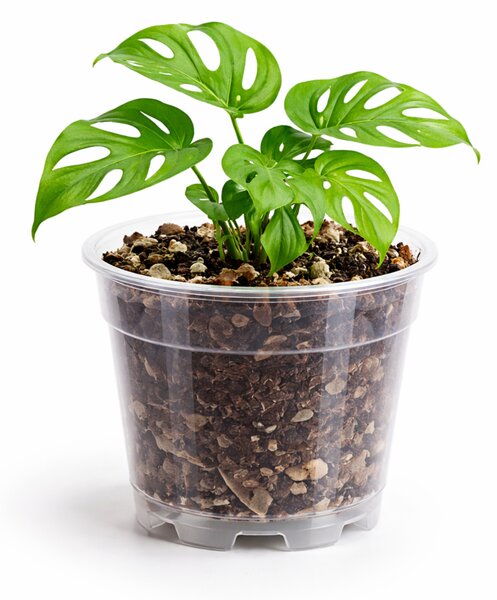 Plastový obal priesvitný Ø 6 cm - Ø 17 cm - 15 cm