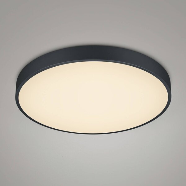 Trio Lighting LED stropné svietidlo Waco, Ø 49,5 cm, čierna matná, Čierna, Obývacia izba / jedáleň, kov, Závesné svietidlo