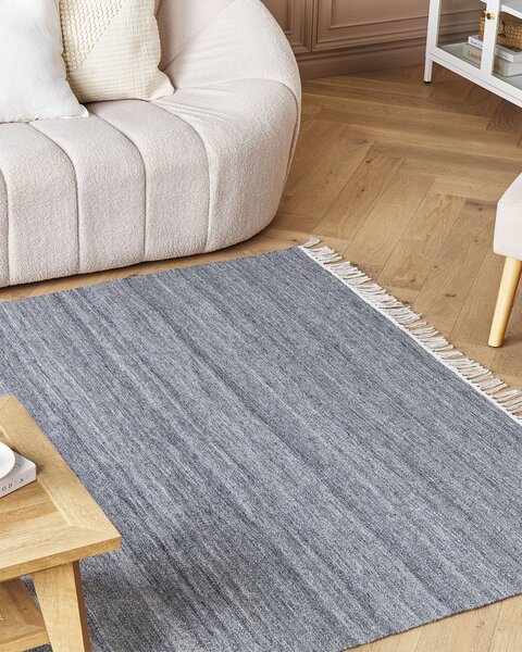Koberec sivý recyklovaný syntetický materiál 160 x 230 cm so strapcami interiér exteriér