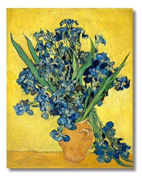 Obraz Vincent van Gogh - Kosatce