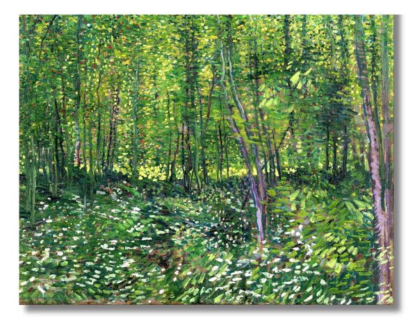 Obraz Vincent van Gogh - Les