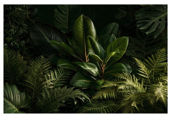 Obraz tropické listy v šere