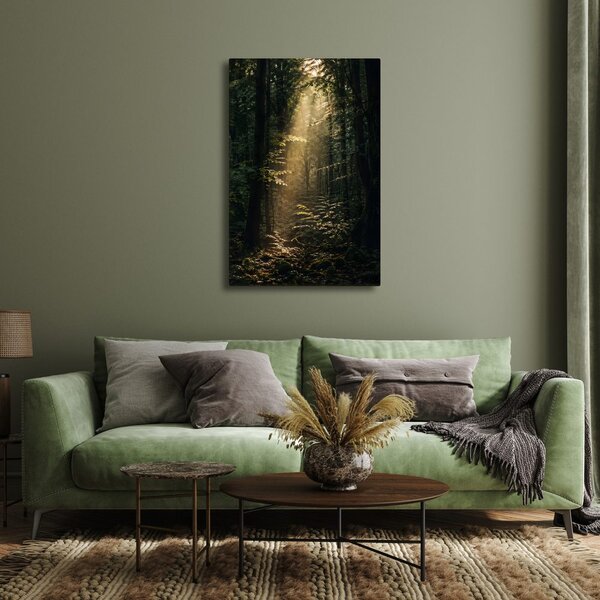Obraz slnečné lúče v hlbokom lese
