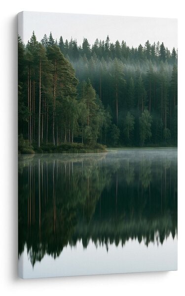 Obraz tichý les nad hladinou