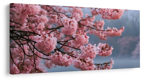 Obraz rozkvitnutá sakura nad pokojnou vodou