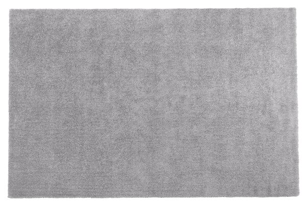 Koberec svetlosivý 200 x 300 cm moderný všívaný strojom obdĺžnikový huňatý s vysokým vlasom