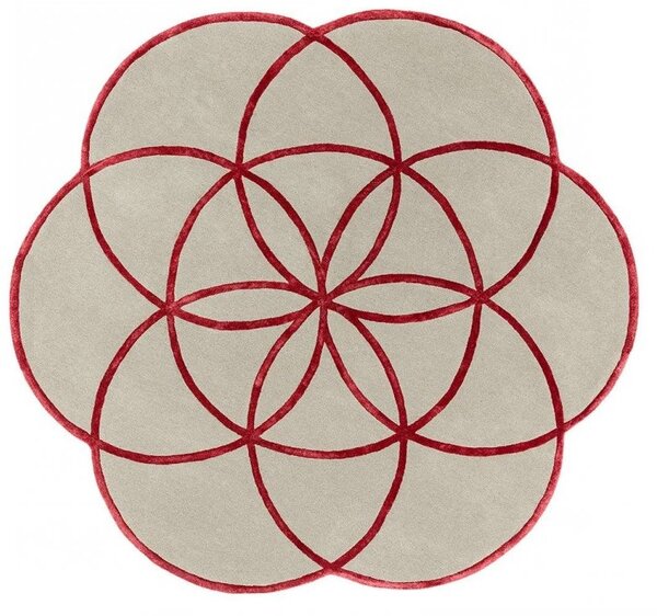 Asiatic London koberce Ručne všívaný kusový koberec Lotus Red - 200x200 kvietok
