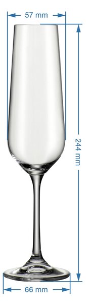 POHÁR NA SEKT Novel - Poháre na šampanské