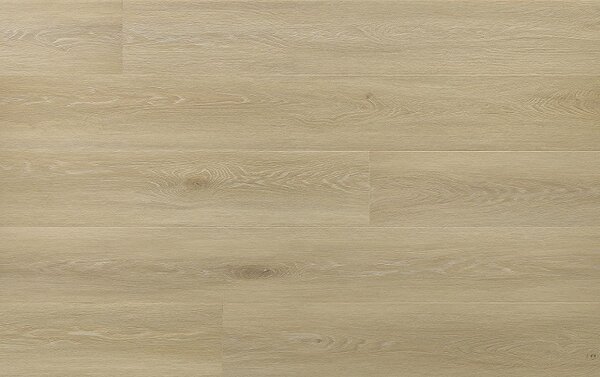 Arbiton Amaron Wood EIR CAS 222 DUB JOHANNES