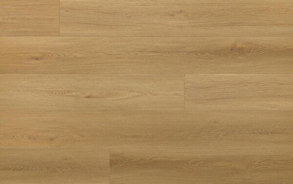 Arbiton Amaron Wood EIR CAS 223 DUB MENOR