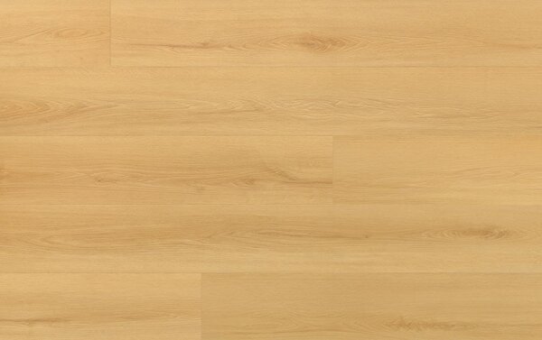 Arbiton Amaron Wood EIR CAS 227 DUB VIRGIN