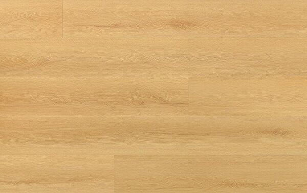 Arbiton Amaron Wood EIR CAS 227 DUB VIRGIN