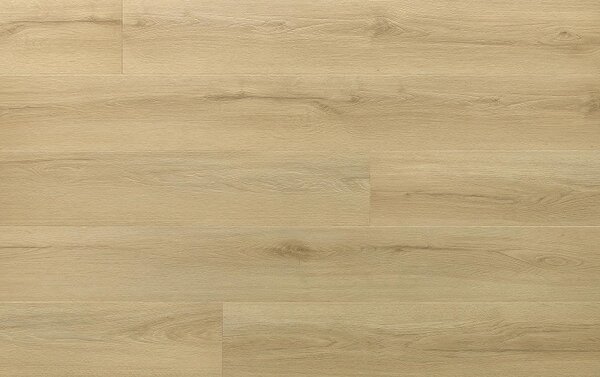 Arbiton Amaron Wood EIR CAS 228 DUB PRINCETON