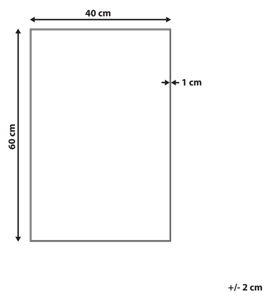 Nástenné zrkadlo strieborné obdĺžnikové 40 x 60 cm dekoratívne na zavesenie na stenu dizajnový doplnok