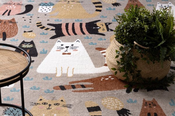 Dywany Łuszczów, Detský kusový koberec Fun Kittens Cats beige, 160x220, viacfarebná, detská izba