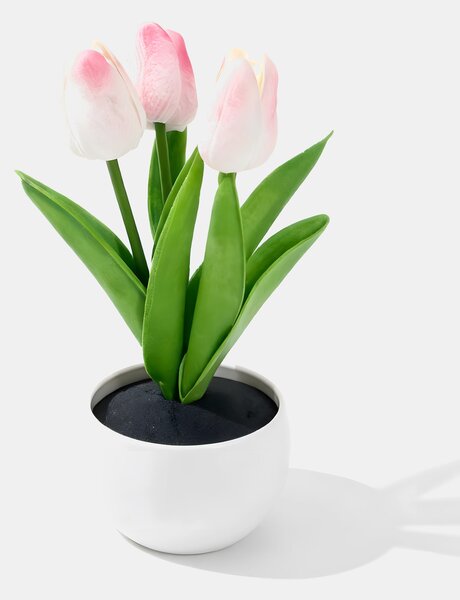 Sinsay - Dekoratívne tulipány v kvetináči - ružová