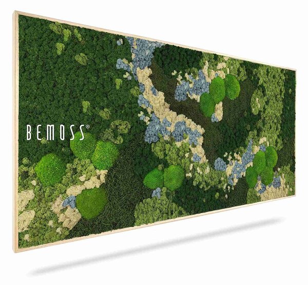 Machový obraz BEMOSS® ORTHO ICE - 40 x 40 cm
