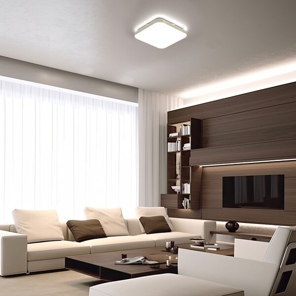 Stropné LED svietidlo Dabar, 1x LED 11w, 4000k, g