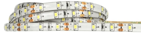 ECOLIGHT LED pásik - SMD 2835 - 5m - 60LED/m - 4,8 W/m - IP65 - studená biela