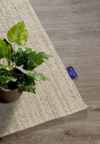 Villeroy & Boch , Kusový koberec 106066 Beige, 120x170, béžová, chodba / predsieň