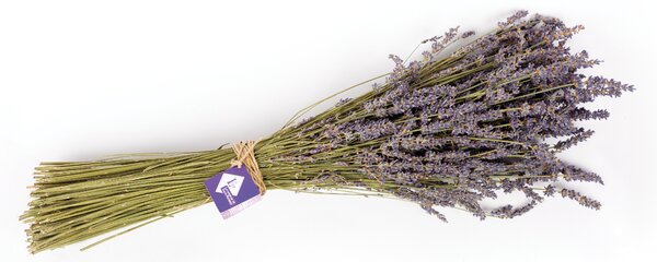 Lavanderaie de Haute Provence Kytica sušeného lavandínu