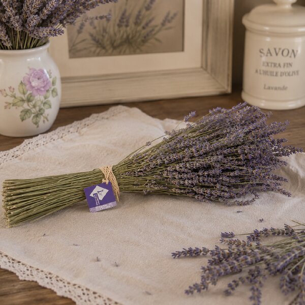 Lavanderaie de Haute Provence Kytica sušeného lavandínu