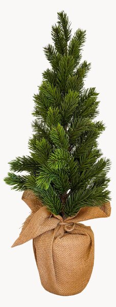 Vianočný stromček Clementine