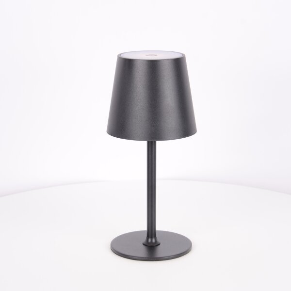 Globo 58438G - LED Stmievateľná dotyková vonkajšia lampa VANNIE LED/3W/3,7V IP44