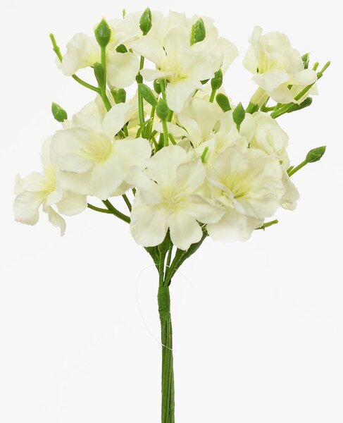 Kvet jabloň zväzok biely 18cm