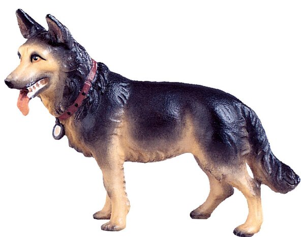 Ovčiarský pes pre betlehem - dolomitský
