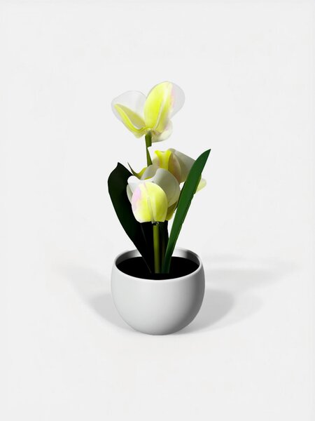 Sinsay - Dekoratívna rastlina v kvetináči – orchidea - krémová