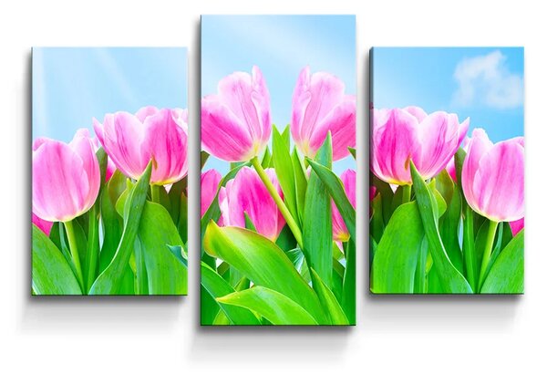Sablio Obraz - 3-dílný Ružové tulipány - 75x50 cm